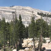 Review photo of Tuolumne Meadows Campground — Yosemite National Park by Dave V., October 1, 2018