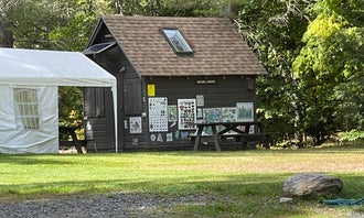 Camping near Singing Wood Farm : Little River State Park Campground, Waterbury Center, Vermont
