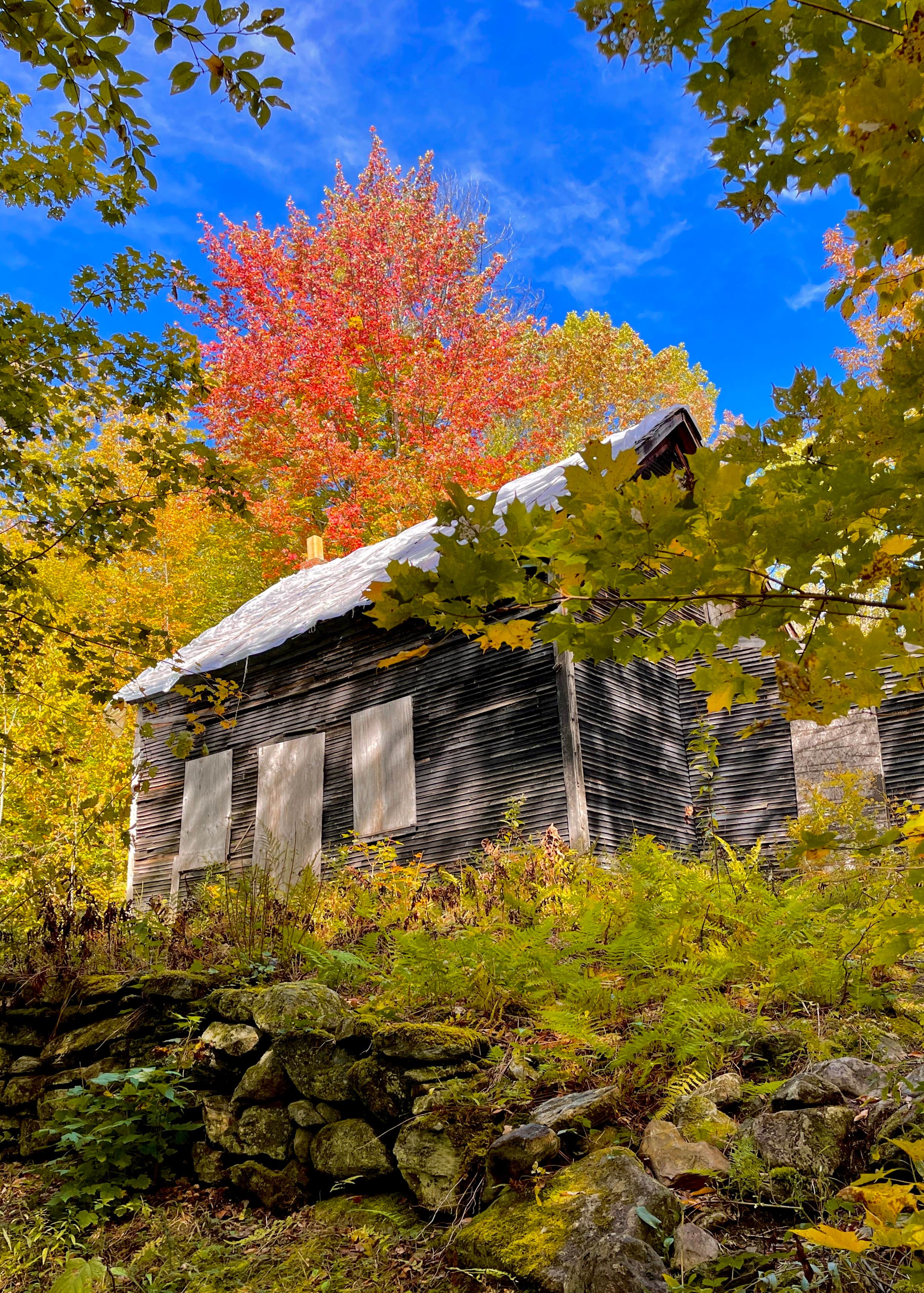 Camper-submitted photo at Little River State Park Campground near Barre, VT