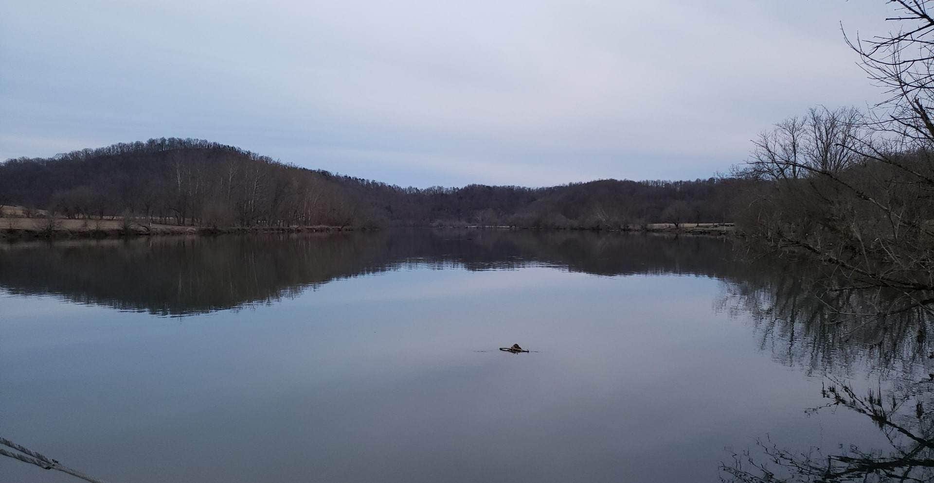 Camper-submitted photo at Windy Rivers Campground near Eidson, TN