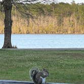 Review photo of Paul B. Johnson State Park Campground by Kiva R., March 23, 2023