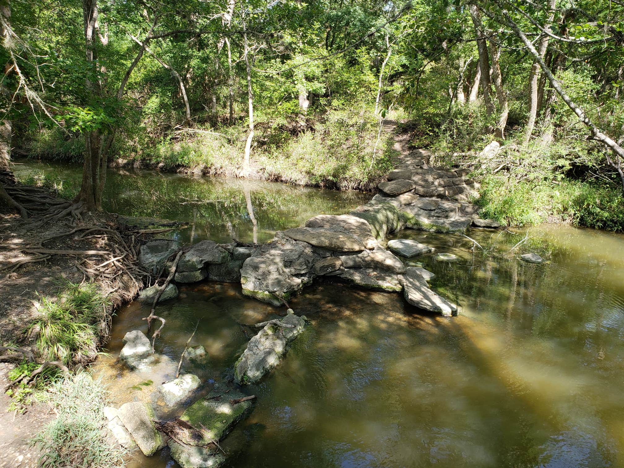 Camper-submitted photo at Lockhart State Park Campground near Smithville, TX