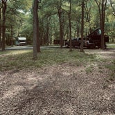 Review photo of Palmetto State Park Campground by Robert H., March 23, 2023