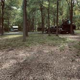 Review photo of Palmetto State Park Campground by Robert H., March 23, 2023