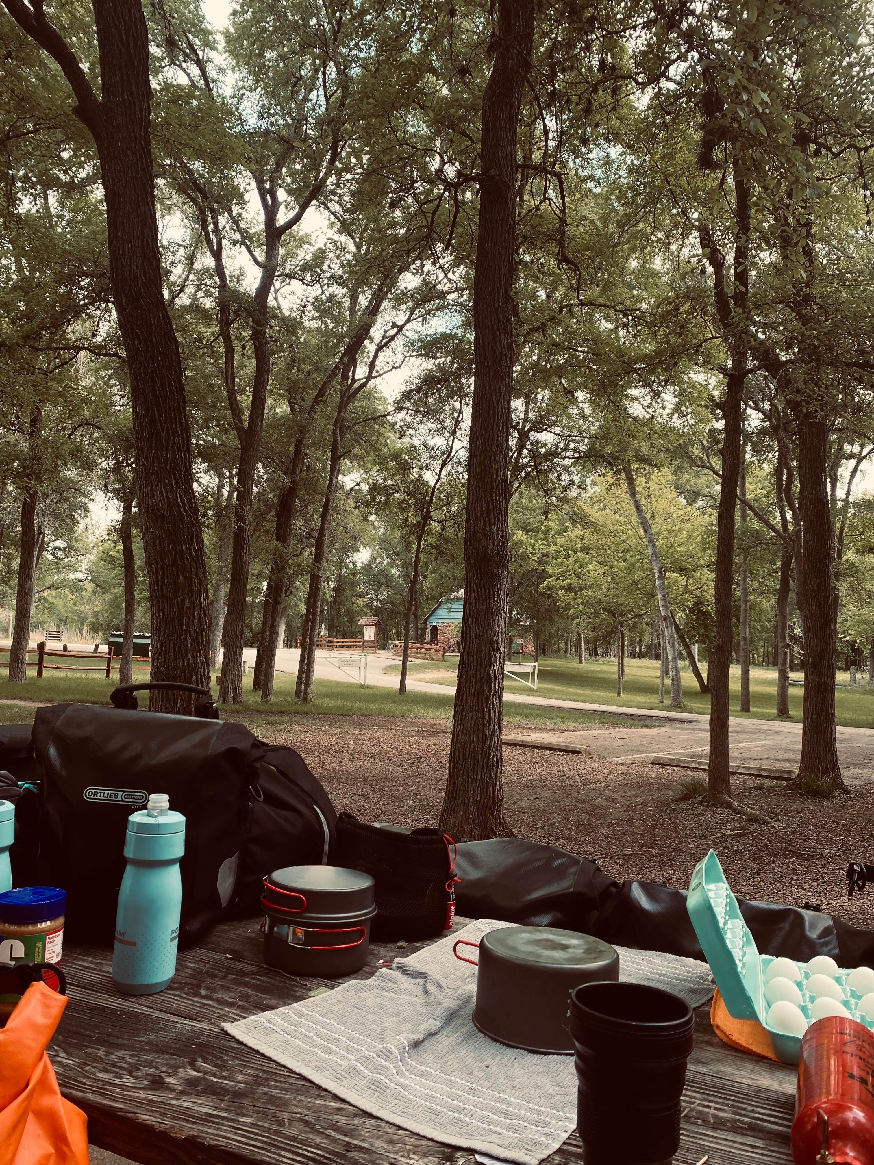 Robert H.'s photo of camping with pets at Palmetto State Park Campground near Schulenburg, TX