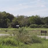 Review photo of Lockhart State Park Campground by Brittany S., October 1, 2018