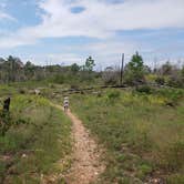 Review photo of Bastrop State Park Campground by Brittany S., October 1, 2018