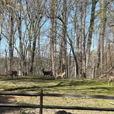 Review photo of River Forks Park & Campground by Brett D., March 23, 2023