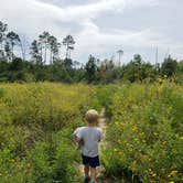 Review photo of Bastrop State Park Campground by Brittany S., October 1, 2018