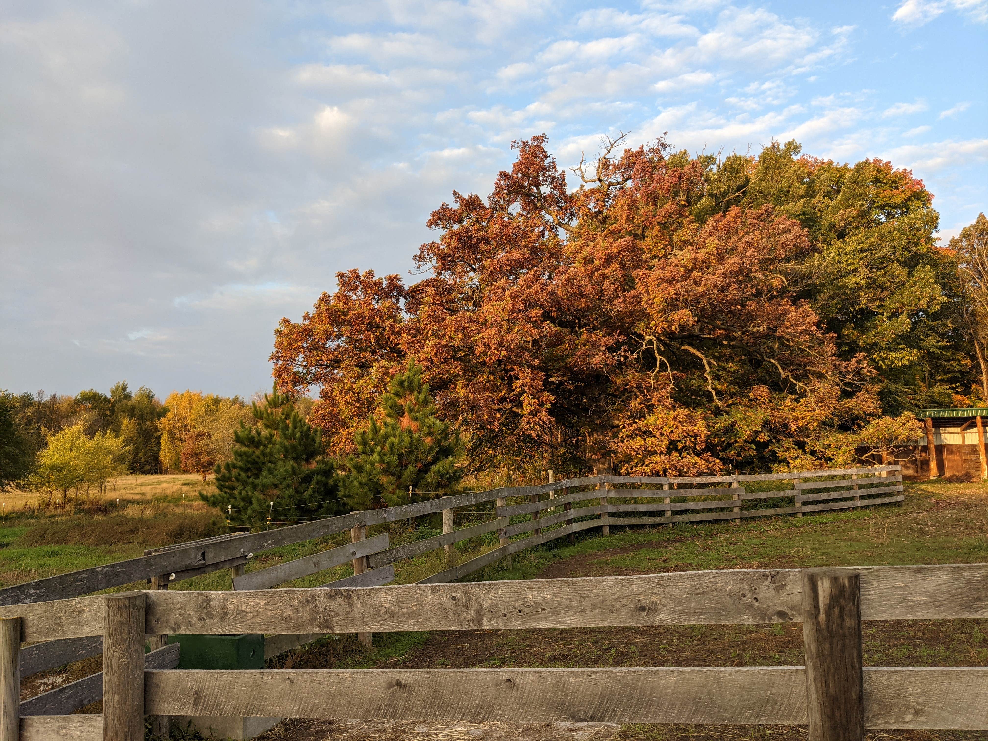 Camping near The Jubilee Homestead: Wild Haven Farm, North Branch, Minnesota