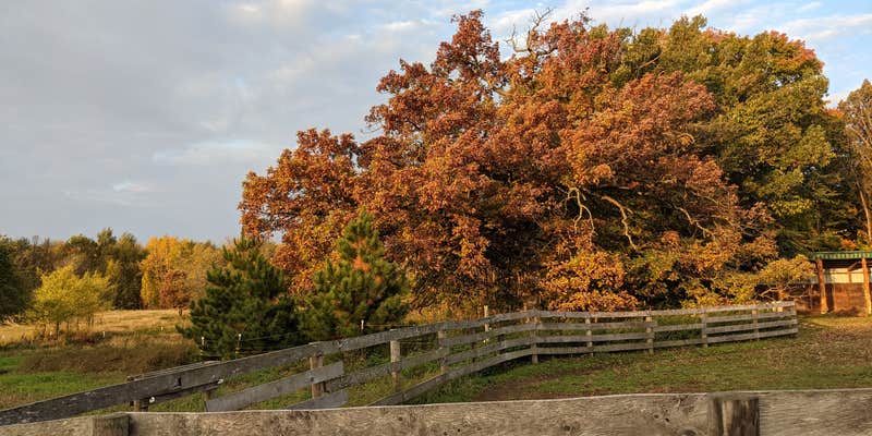Camper submitted image from Wild Haven Farm