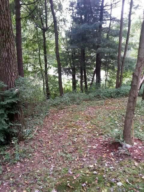 Camper-submitted photo at Lake Eron Park near Glenshaw, PA