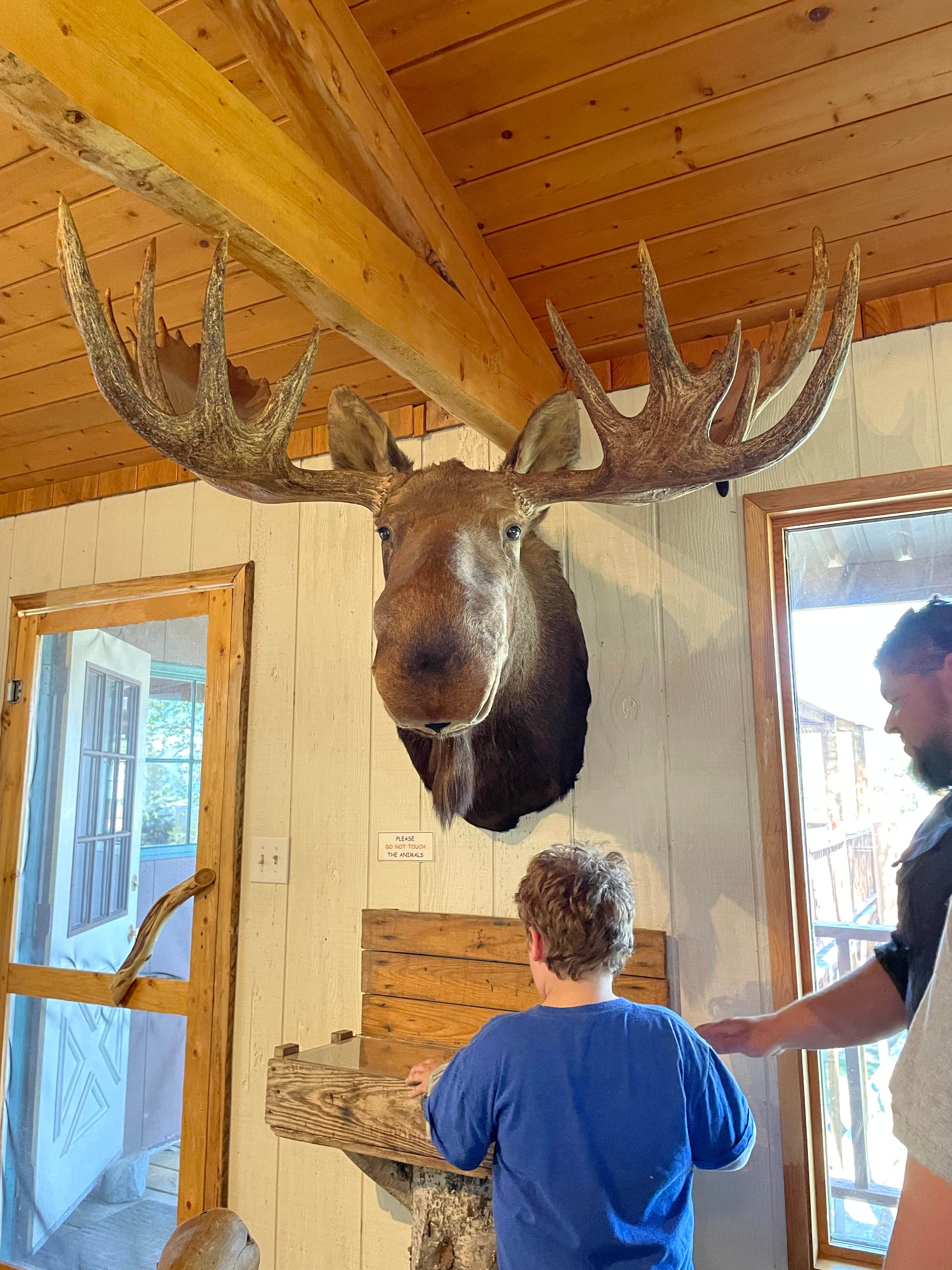 Camper submitted image from Matanuska Glacier State Rec Area - 4