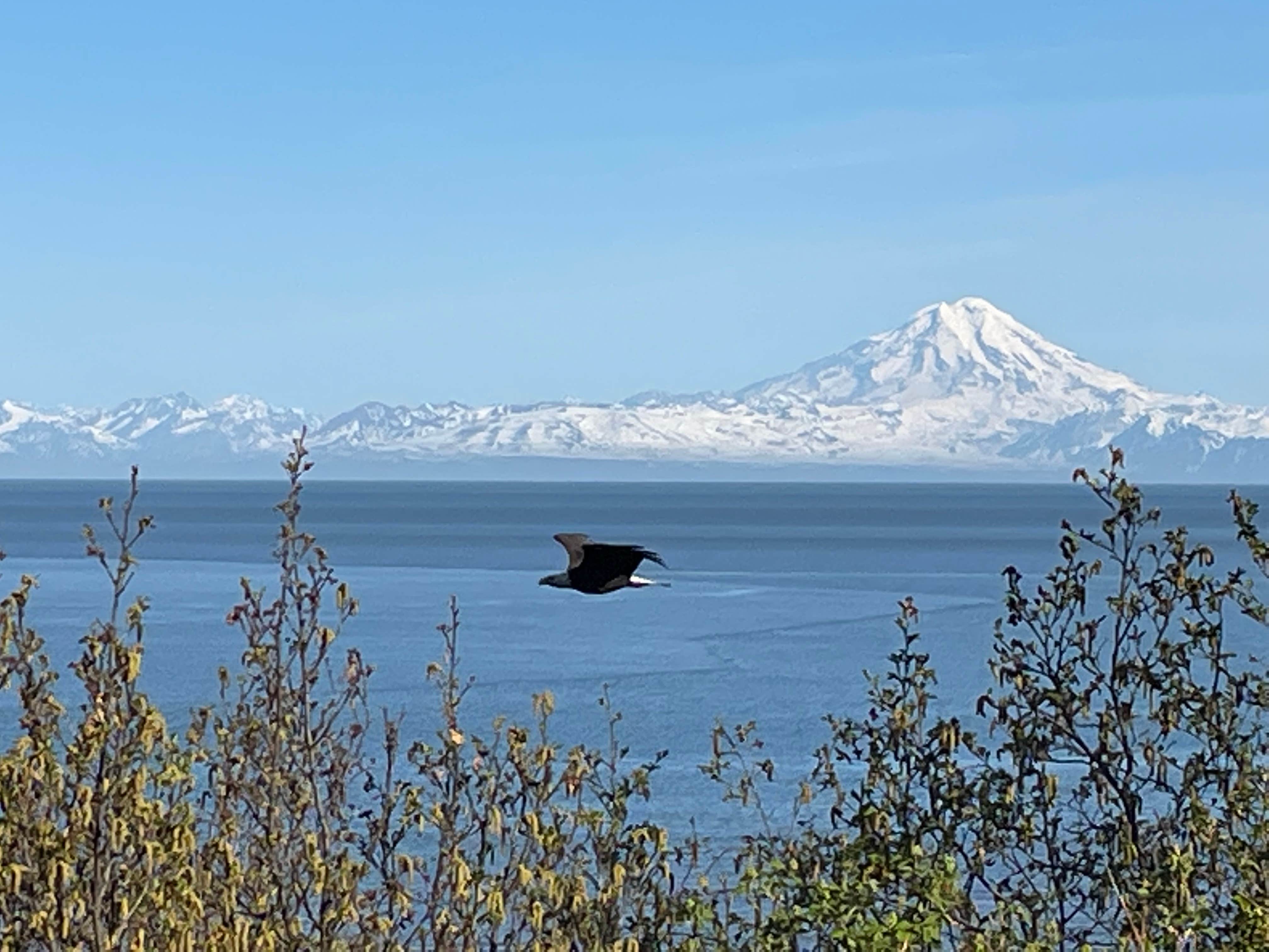 Camper-submitted photo at Ninilchik View Campground near Ninilchik, AK