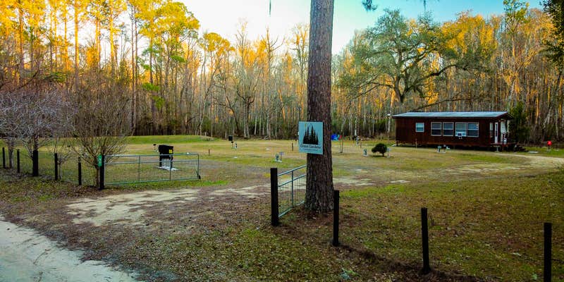 Camper submitted image from Grace Gardens Campground