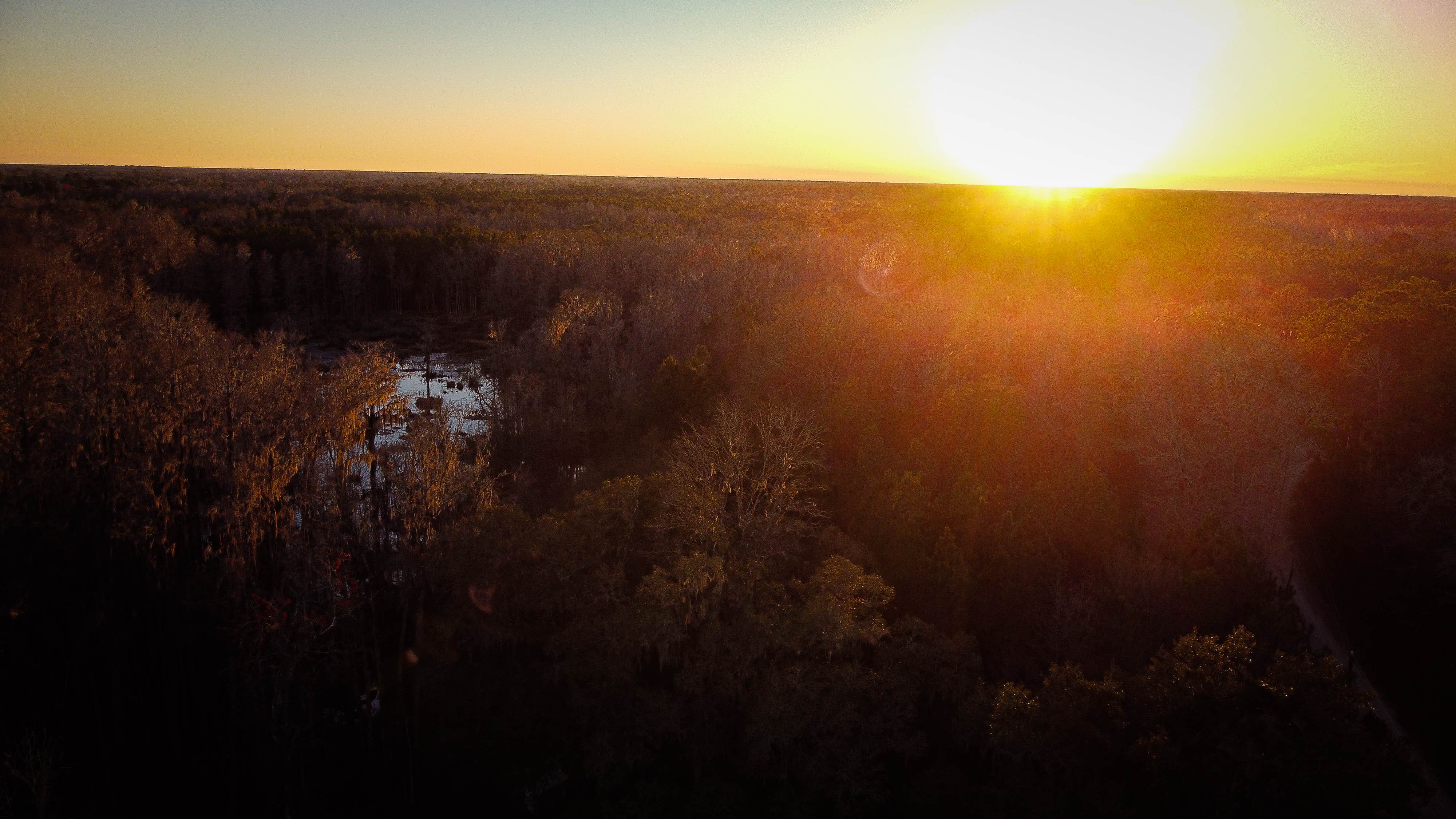 Camper-submitted photo at Grace Gardens Campground near Mayo, FL