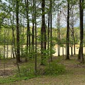 Review photo of Natchez State Park Campground by Christian D., March 24, 2023