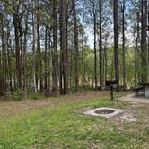 Review photo of Natchez State Park Campground by Christian D., March 24, 2023