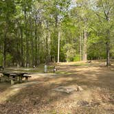 Review photo of Natchez State Park Campground by Christian D., March 24, 2023