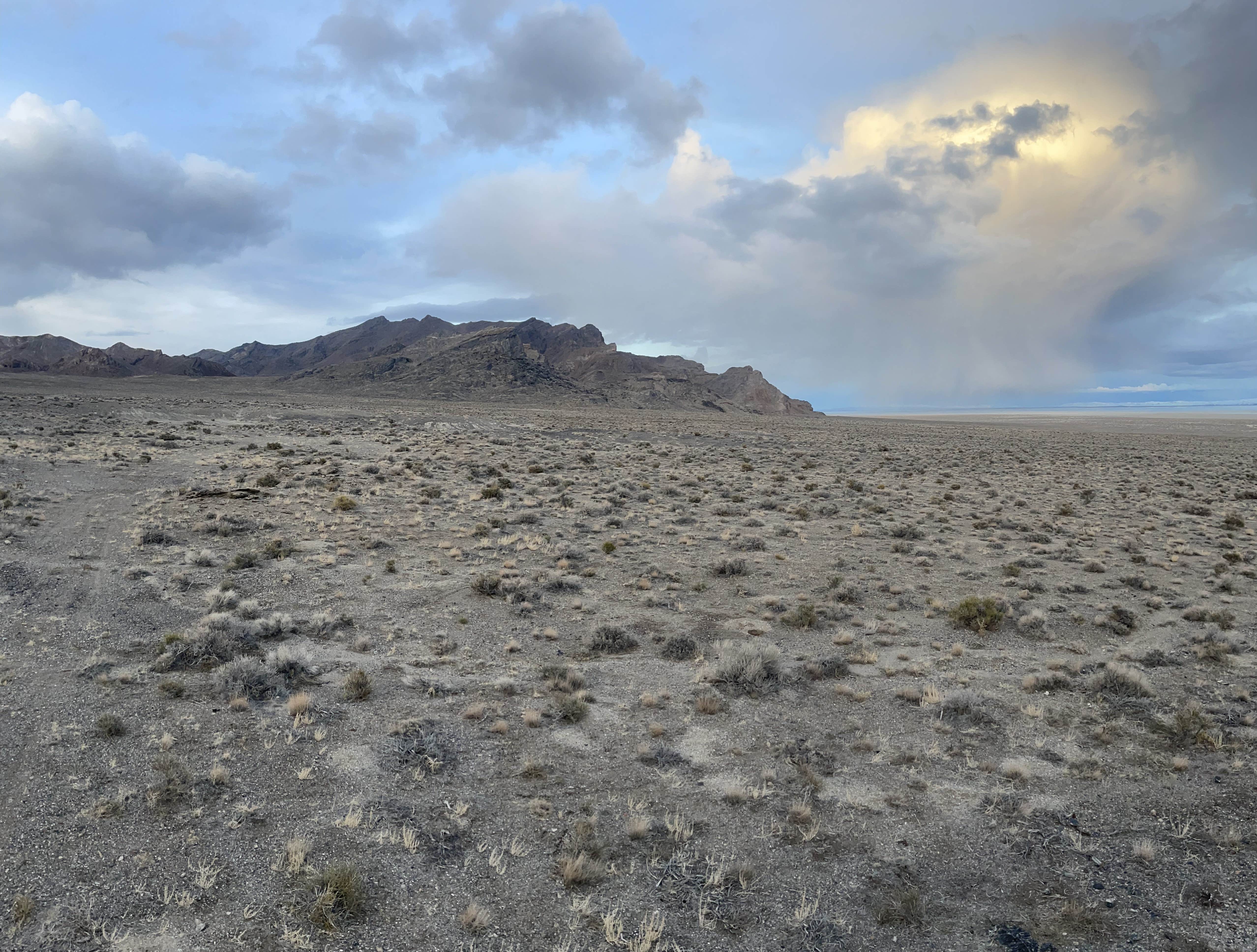 Camper-submitted photo at BLM by Salt Flats - Dispersed Site near West Wendover, NV