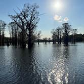 Review photo of Lake Bistineau State Park Campground by Kiva R., March 24, 2023