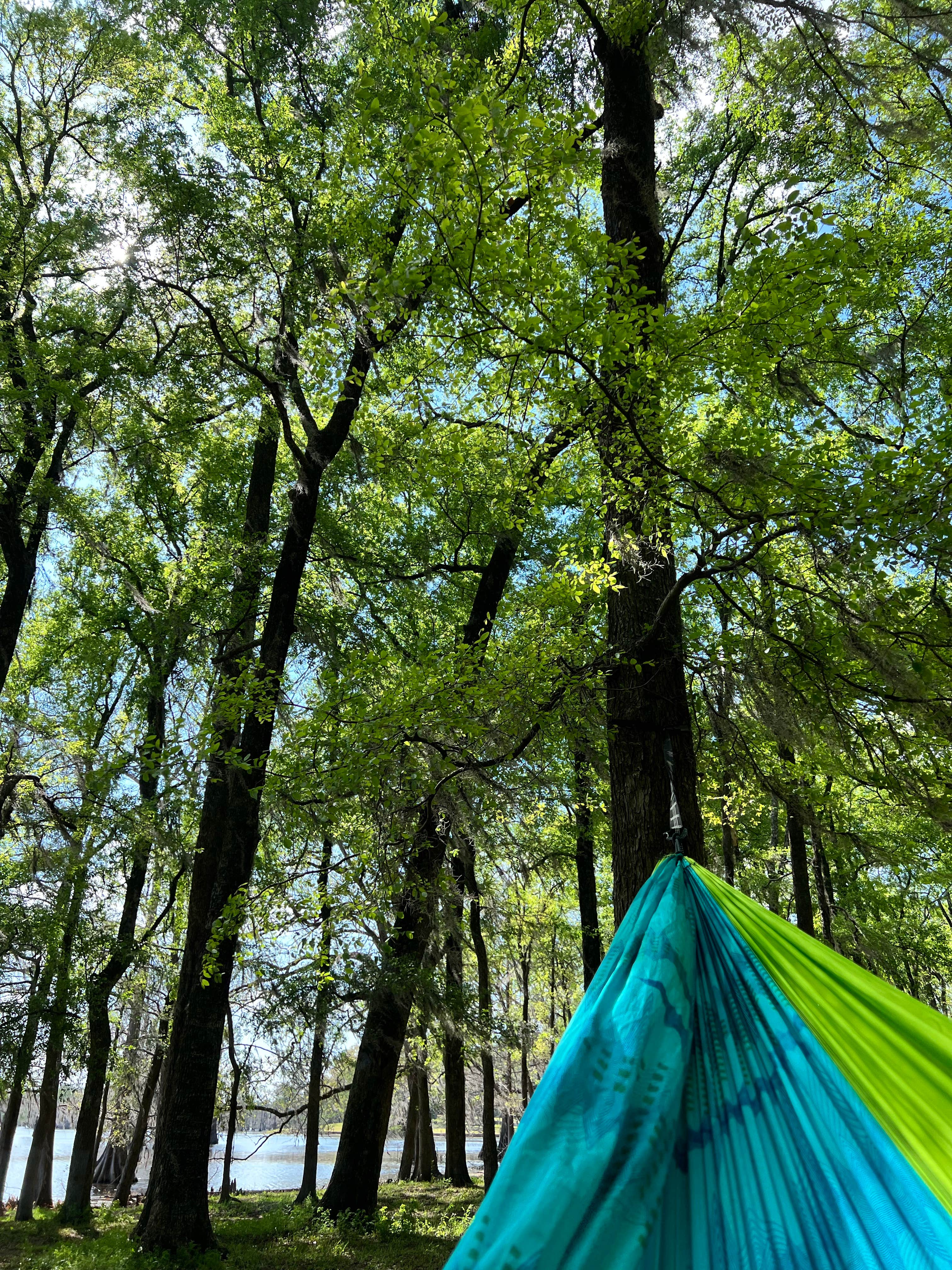 Camper-submitted photo at Lake Bistineau State Park Campground near Shreveport, LA