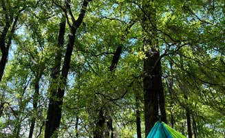 Kiva R.'s photo at Lake Bistineau State Park Campground near Keithville, LA