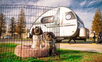 Makenzie P.'s photo of camping with pets at Bakersfield KOA Journey near Greenfield, CA