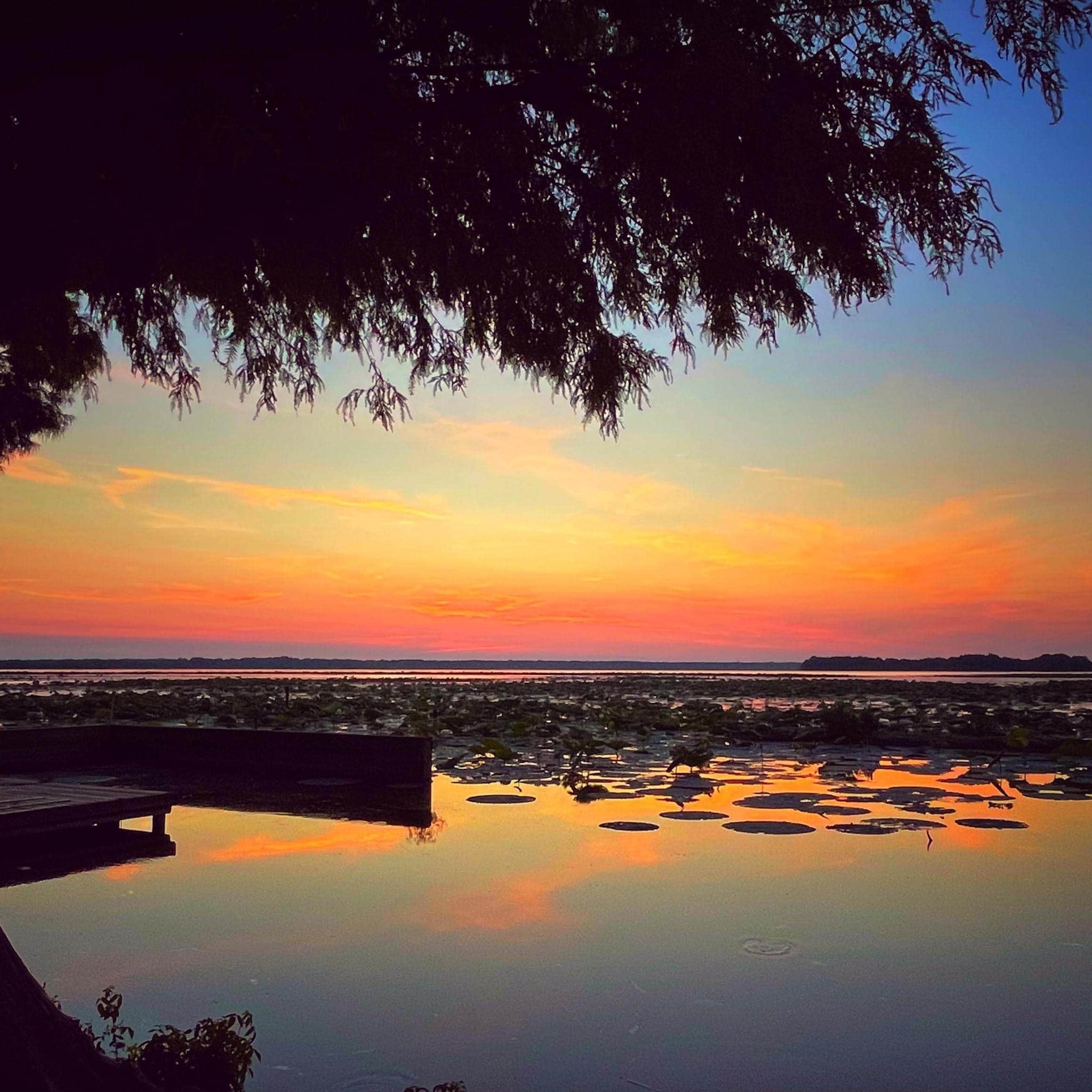 Camper-submitted photo at Roberson Camper Lots at Reelfoot Lake near Dyersburg, TN