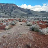 Review photo of Kolob Road BLM Dispersed by Noah E., March 24, 2023