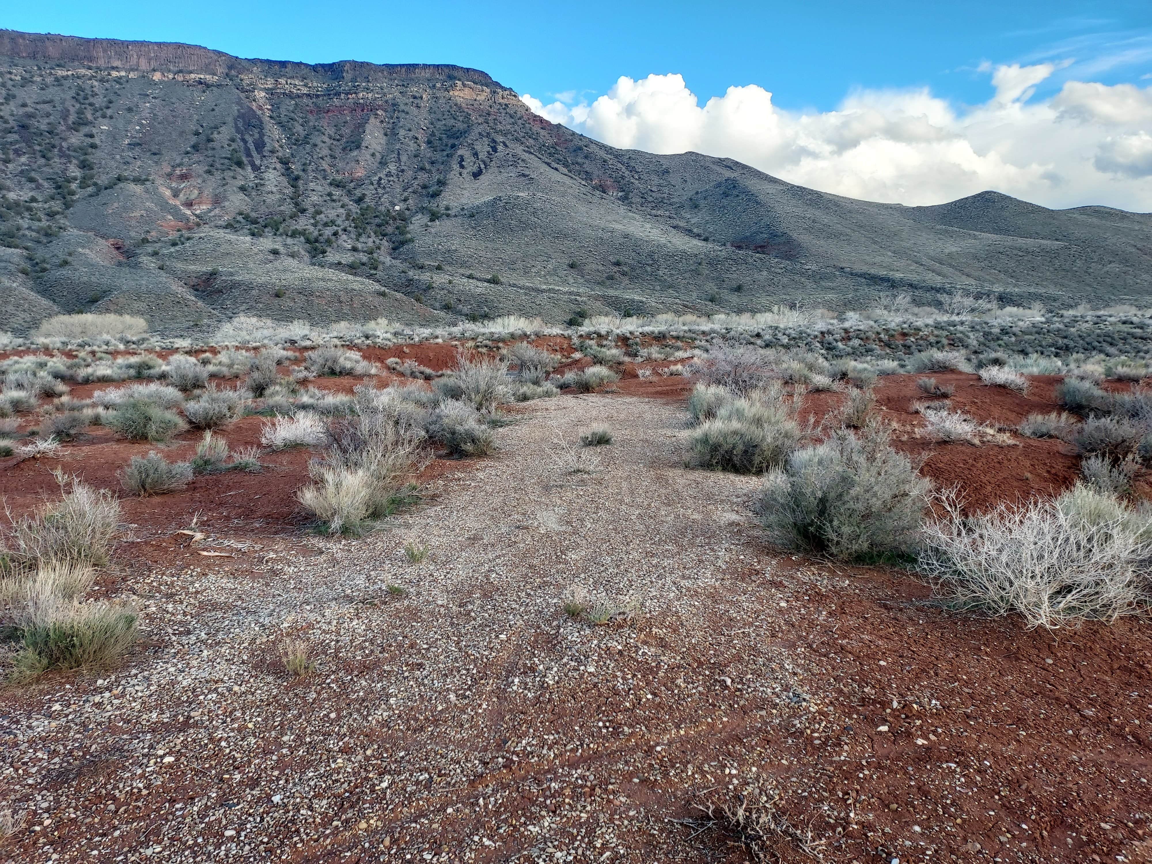 Camper submitted image from Kolob Road BLM Dispersed - 2