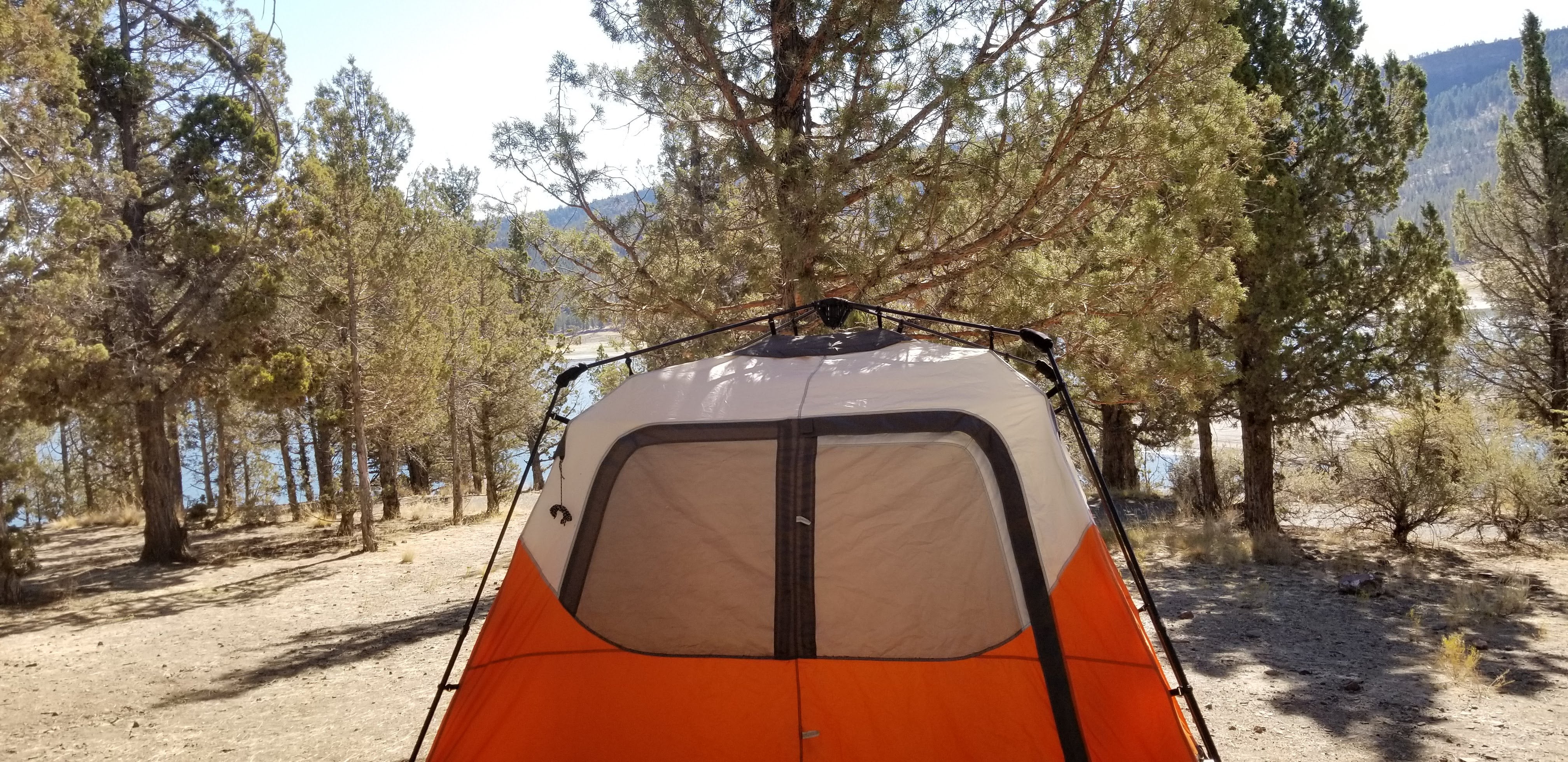 Camper submitted image from Ochoco Lake County Park - 4