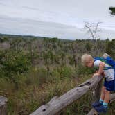 Review photo of Buescher State Park Campground by Brittany S., October 1, 2018