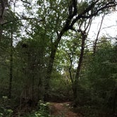 Review photo of Buescher State Park Campground by Brittany S., October 1, 2018