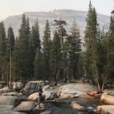 Review photo of Tuolumne Meadows Campground — Yosemite National Park by Dave V., October 1, 2018