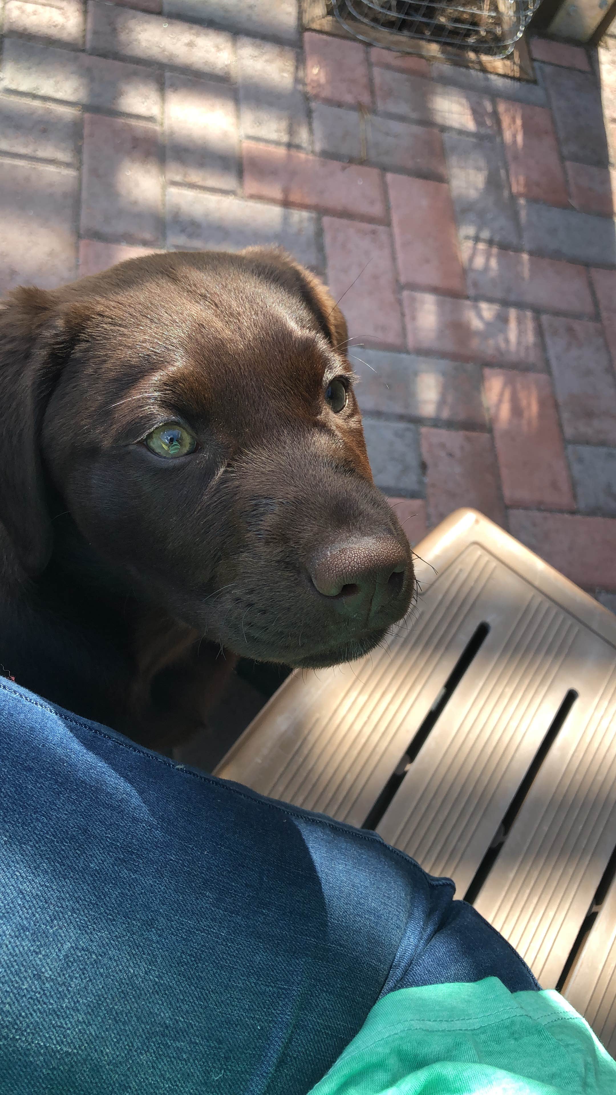 Skylar M.'s photo of camping with pets at Mill Creek Park near Lufkin, TX