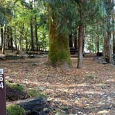 Review photo of Colonial Creek South Campground — Ross Lake National Recreation Area by Natalie B., October 1, 2018