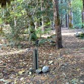 Review photo of Colonial Creek South Campground — Ross Lake National Recreation Area by Natalie B., October 1, 2018