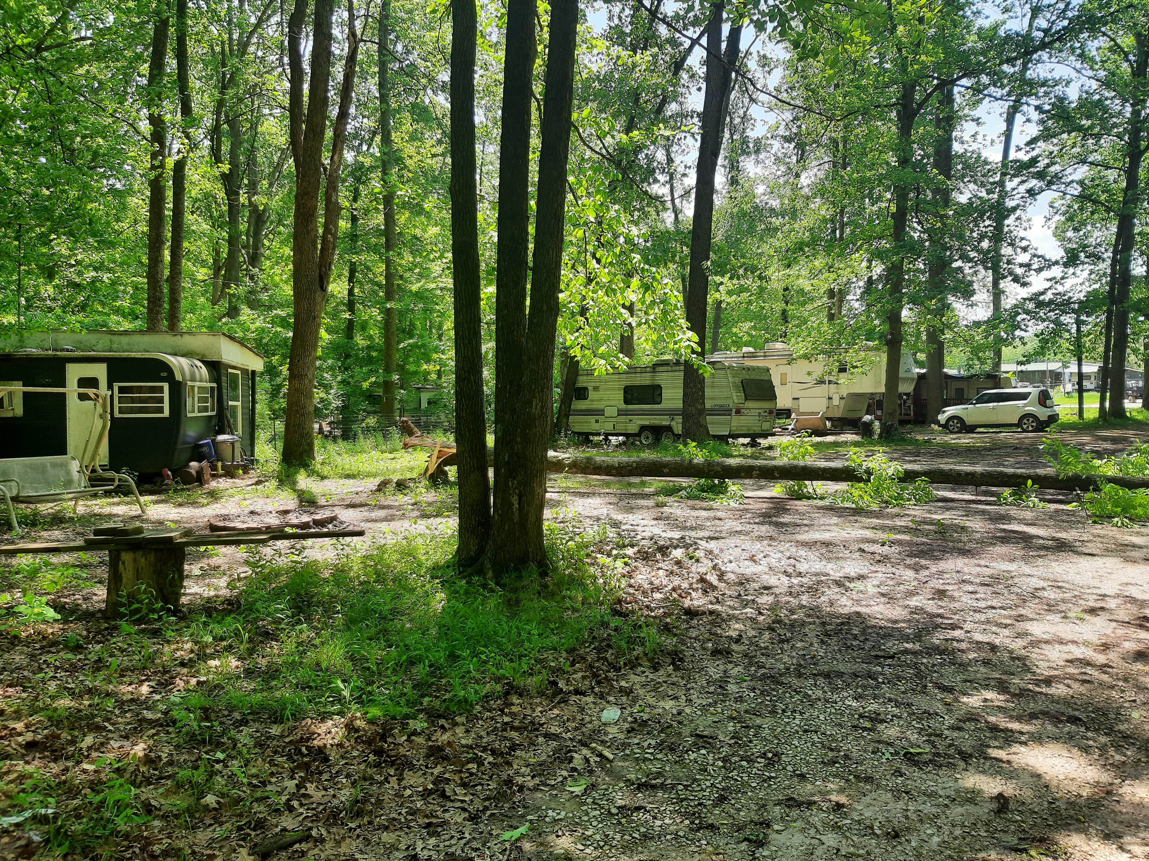 Zach G.'s photo at Misty Morning Campground near Cecil M. Harden Lake