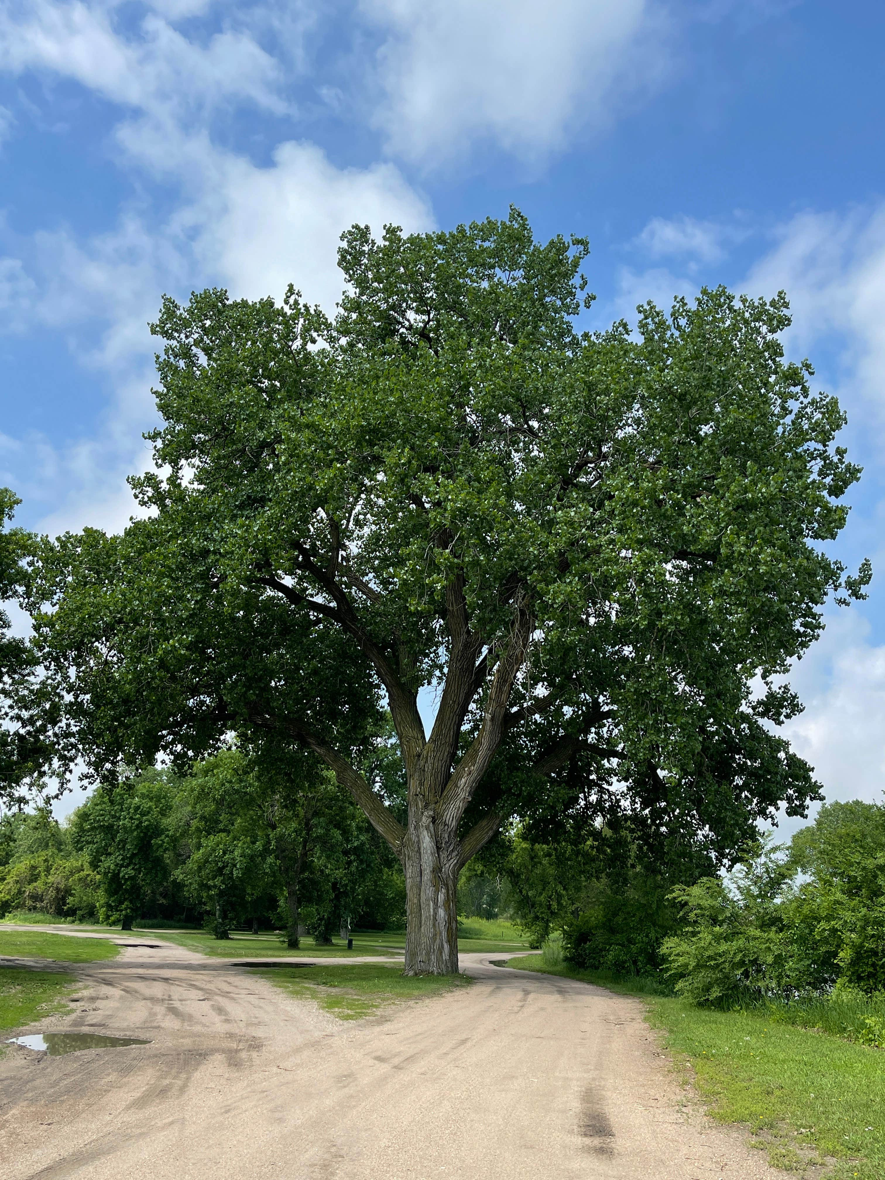Camping near Spalding City Park: Fred Penn Park, Royal, Nebraska