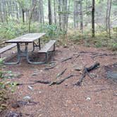 Review photo of Goodell Creek Campground — Ross Lake National Recreation Area by Natalie B., October 1, 2018