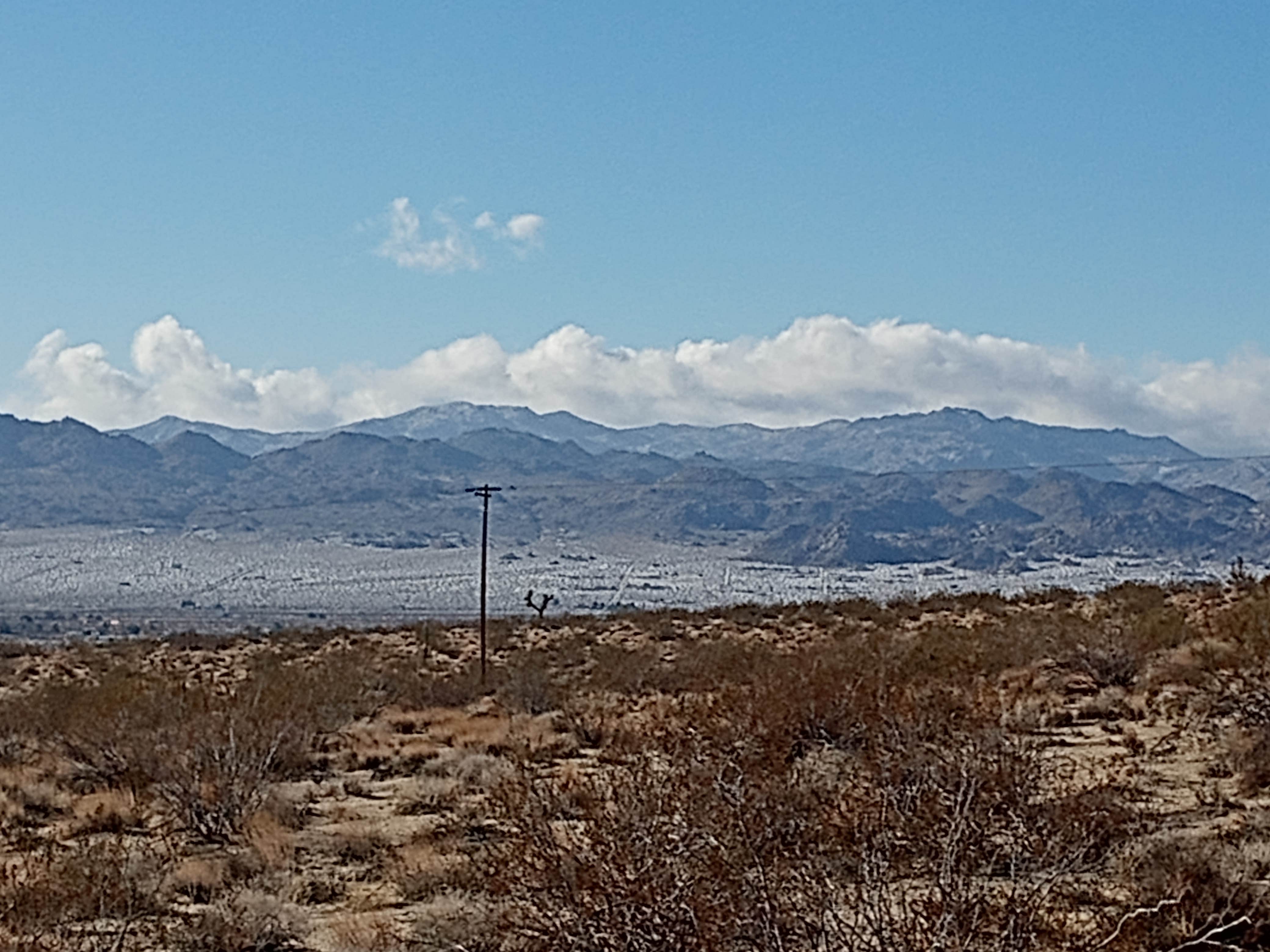 Camper-submitted photo at Shabby Shanty near Joshua Tree National Park