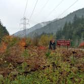 Review photo of Goodell Creek Campground — Ross Lake National Recreation Area by Natalie B., October 1, 2018