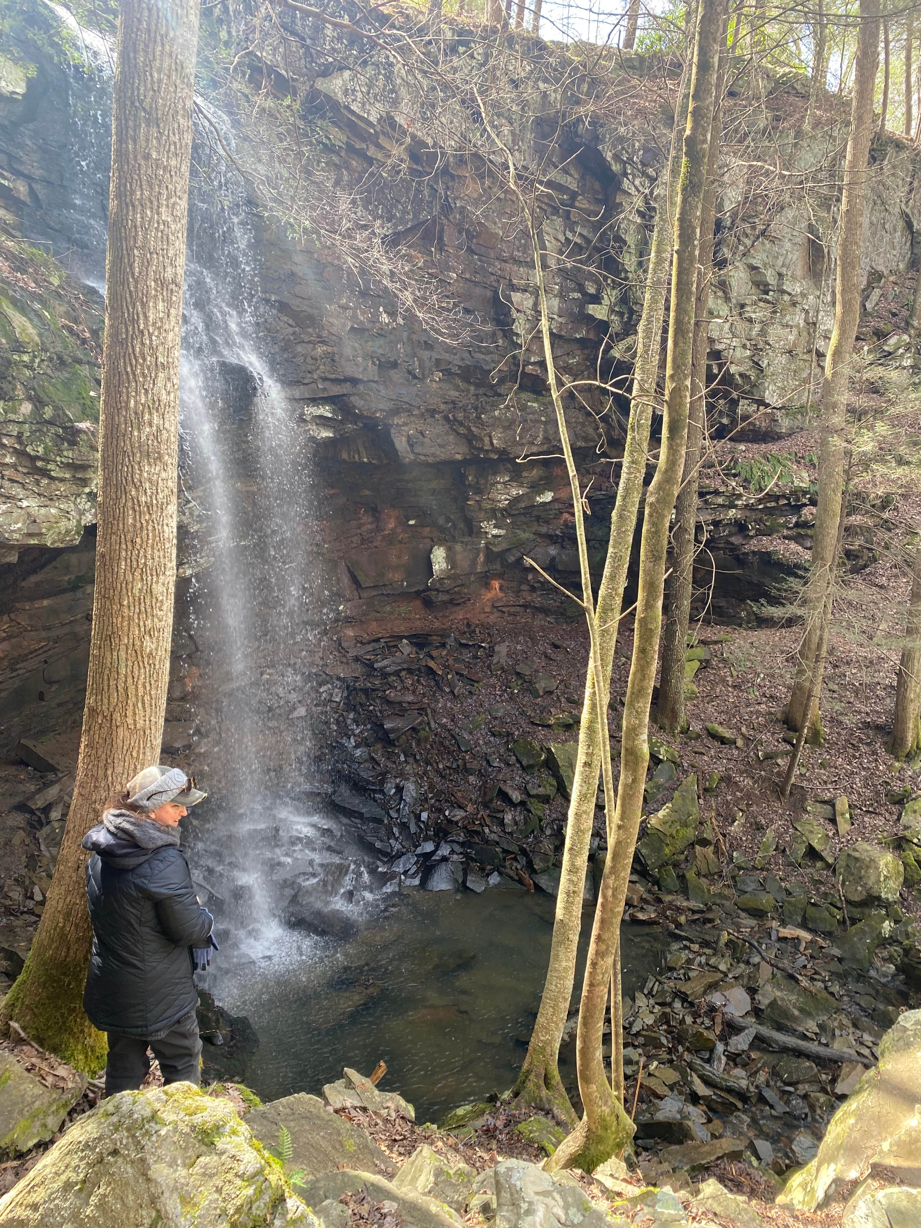 Camper submitted image from The Falls at Sewanee Creek - 4