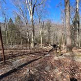 Review photo of Turkey Foot Campground by Lance W., March 25, 2023