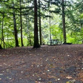 Review photo of Goodell Creek Campground by Natalie B., October 1, 2018