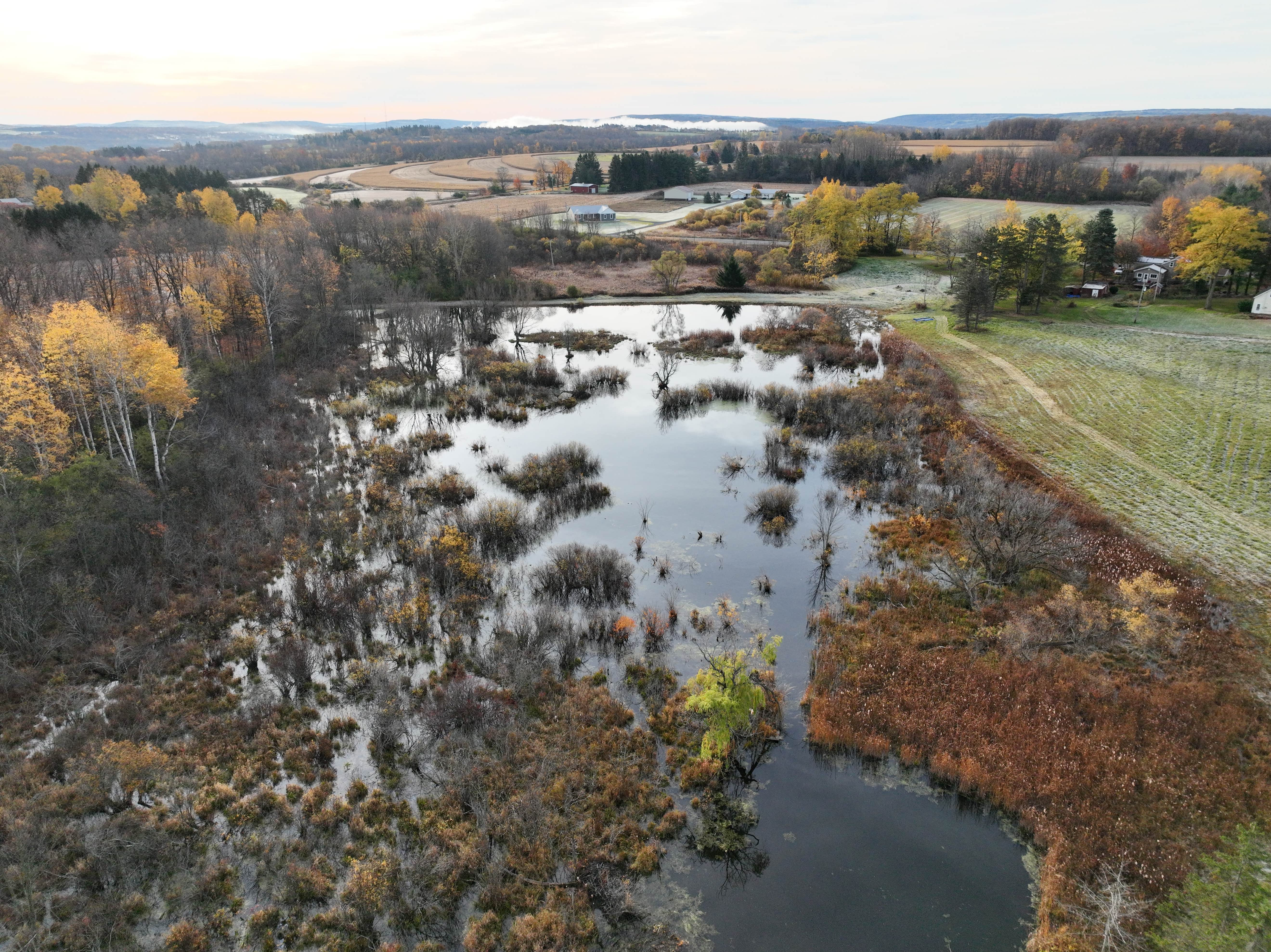 Camper-submitted photo at Woonton Family Farms near Geneva, NY