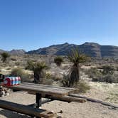 Review photo of Hole in the Wall Campground — Mojave National Preserve by Amy H., March 25, 2023