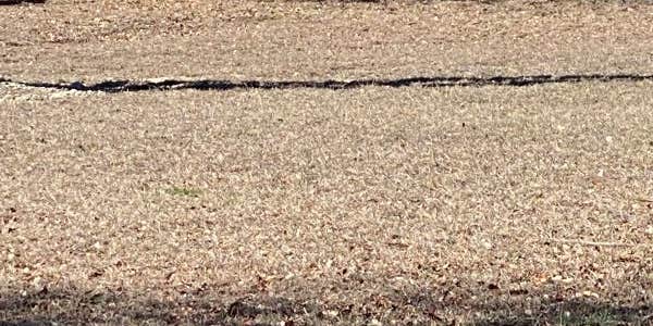 Camper submitted image from Juniper Cove Marina