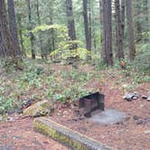 Review photo of Goodell Creek Campground — Ross Lake National Recreation Area by Natalie B., October 1, 2018